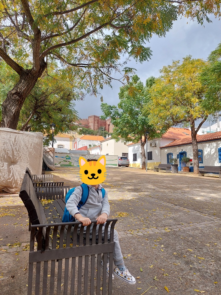 algarve_algarve_silves_place