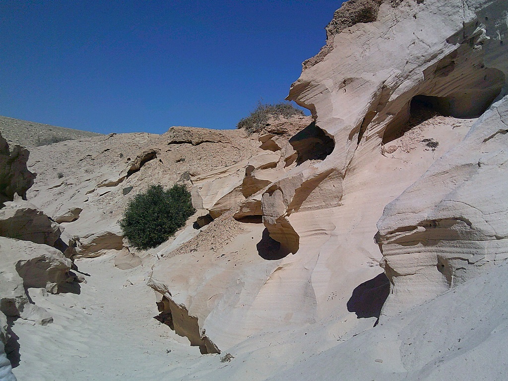 fuerteventura_chocruz_formation1