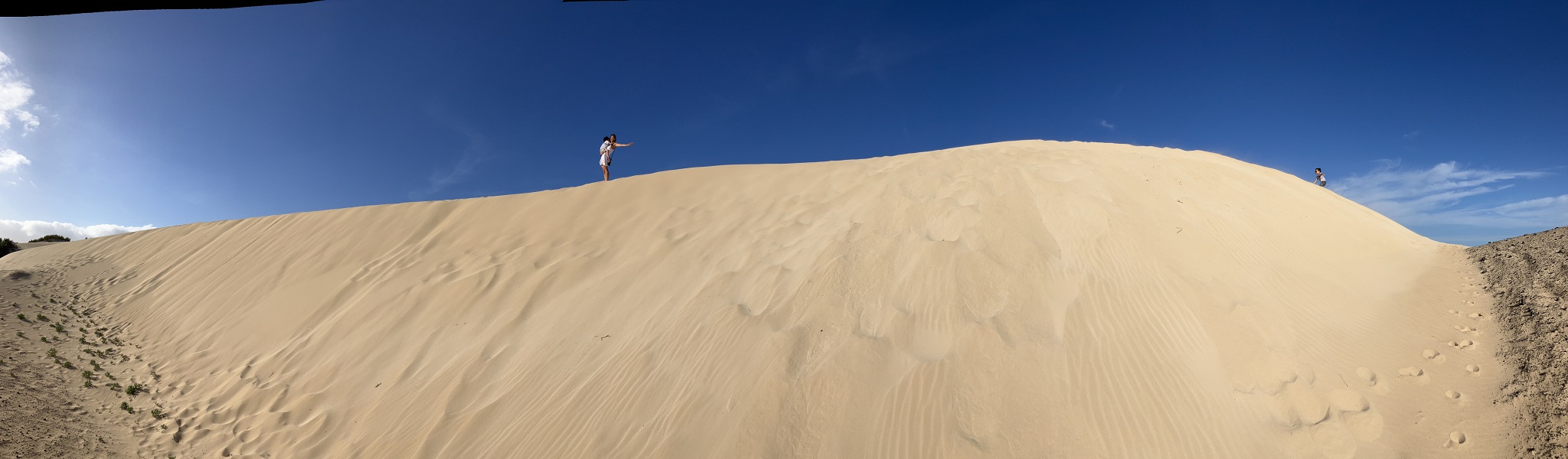 fuerteventura_dunes