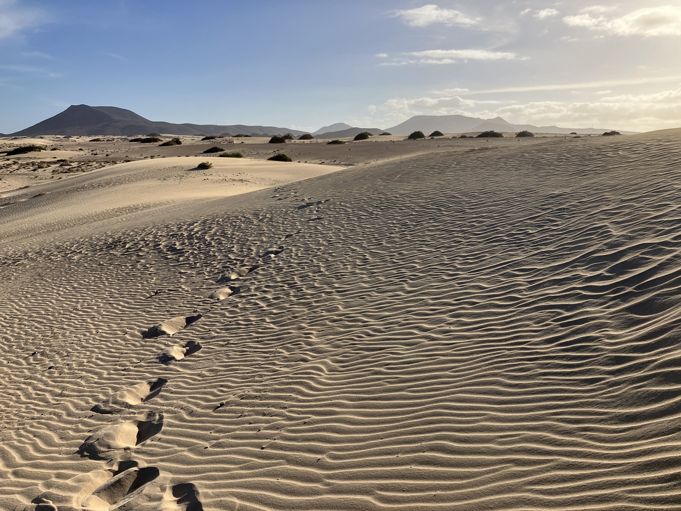 fuerteventura_dunes_pasmontanaroja 1