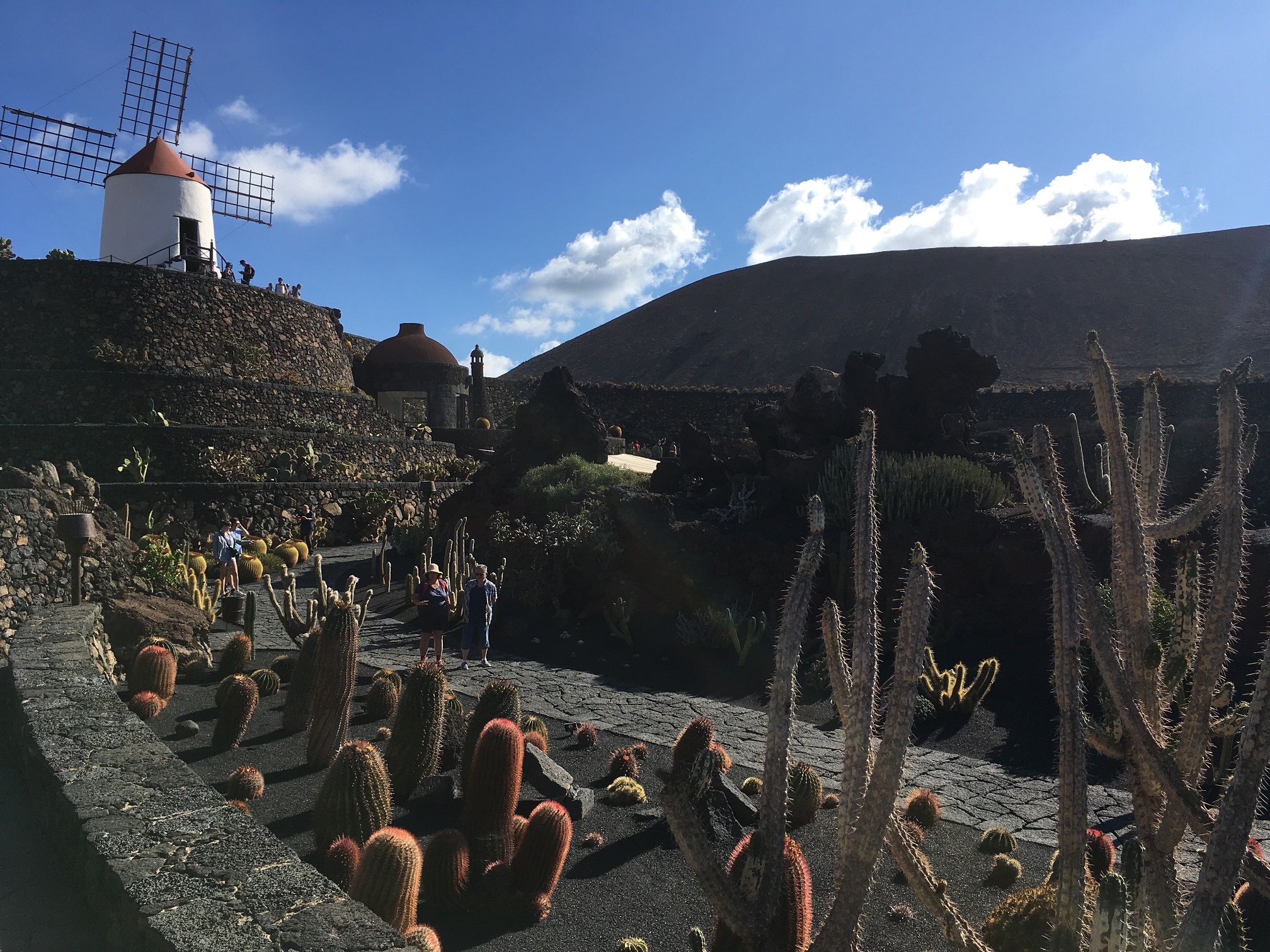 lanzarote_jardin_cactus