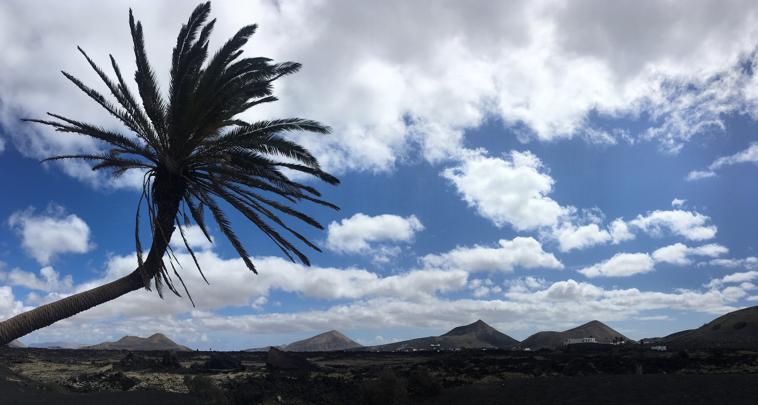 lanzarote_palmerainclinada