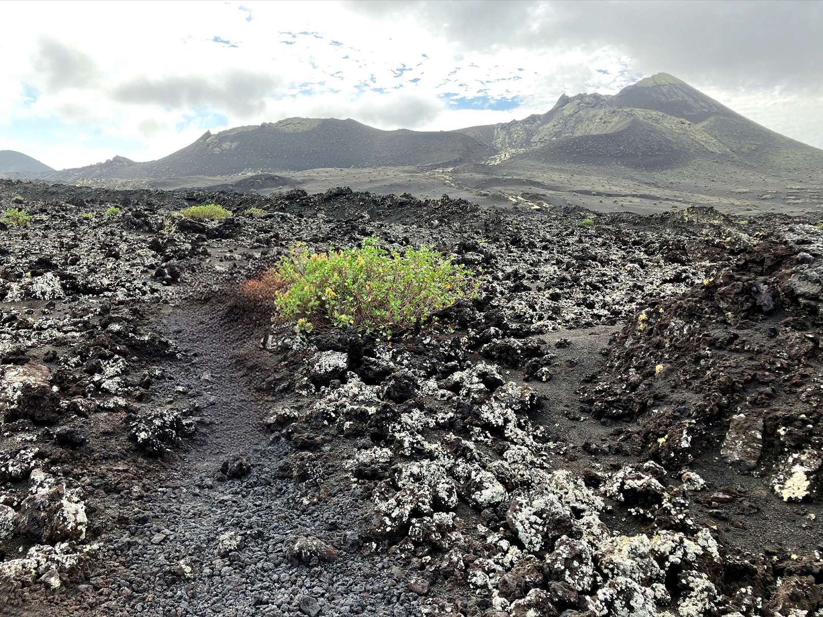 lanzarote_pico_partido_1