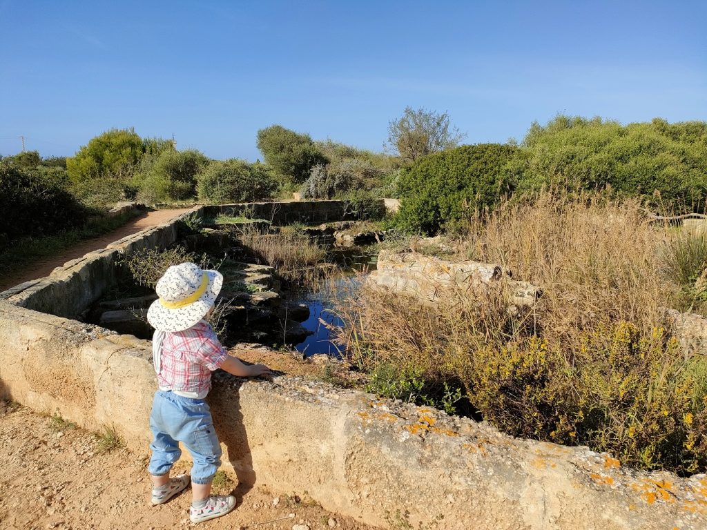 minorque_minorque_lithica_plandeau