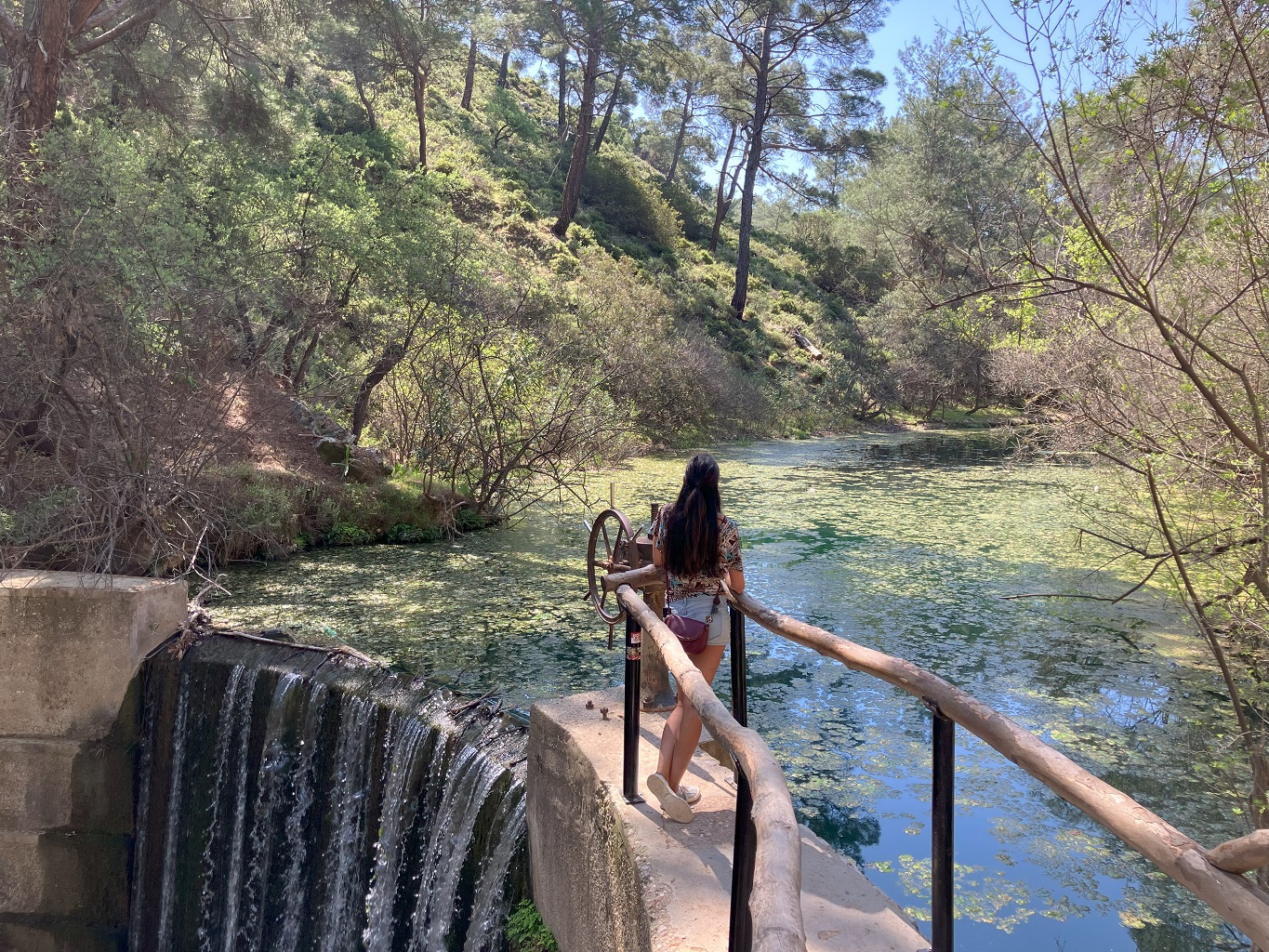 rhodes_rhodes_7sources_lac