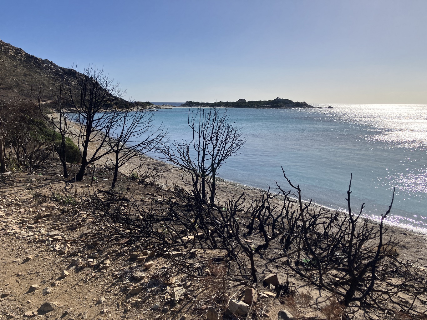 sardaigne_sardaigne_baladesimius_arbresfeujpg