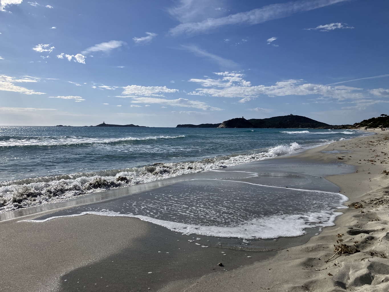 sardaigne_sardaigne_simius2