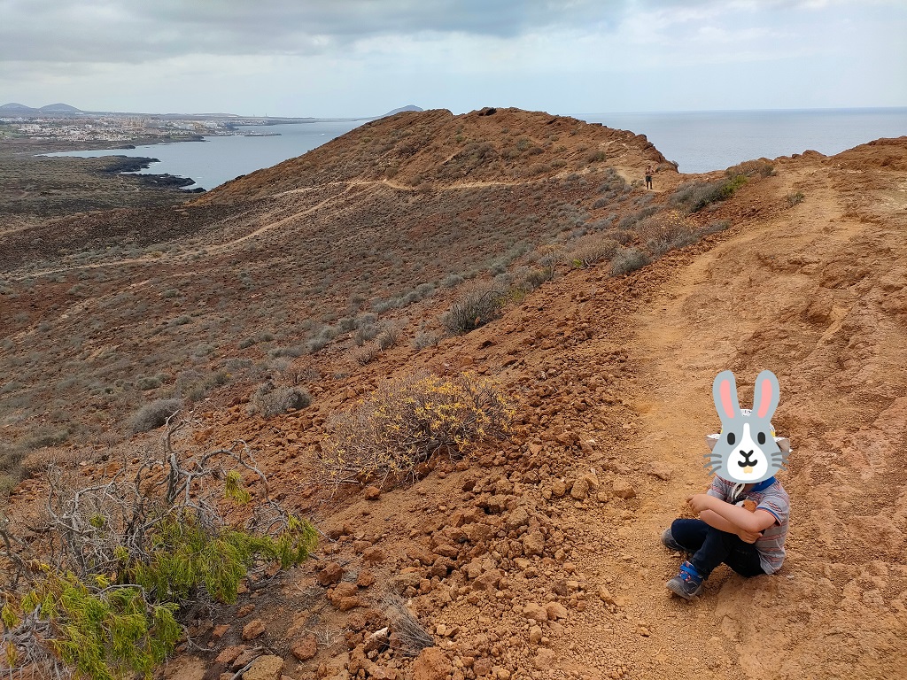 tenerife_amarilla_10