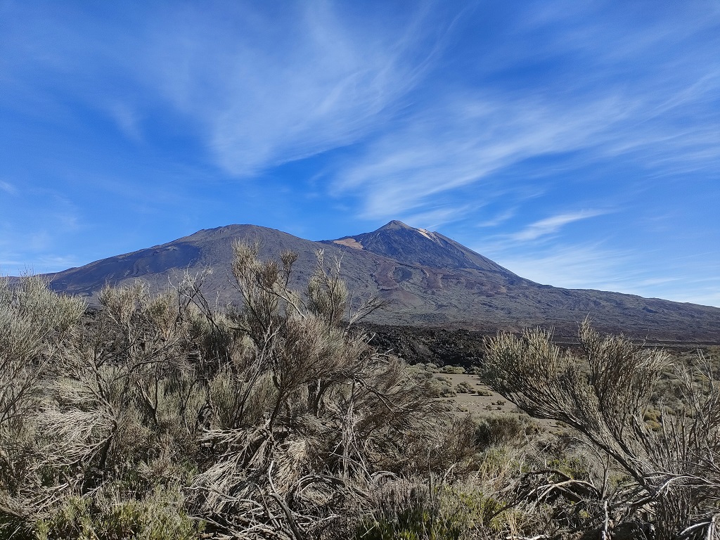 tenerife_boca_tauce_11