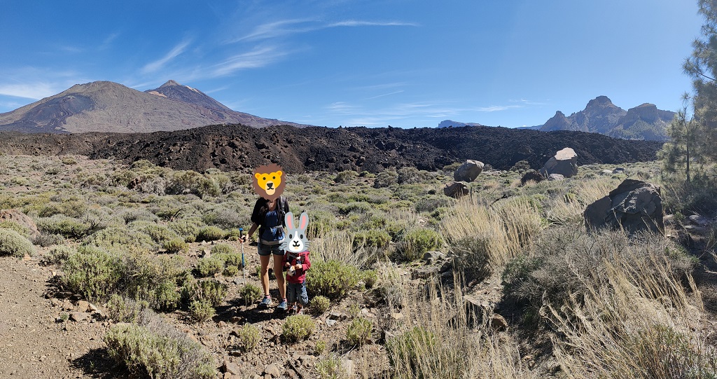 tenerife_boca_tauce_12