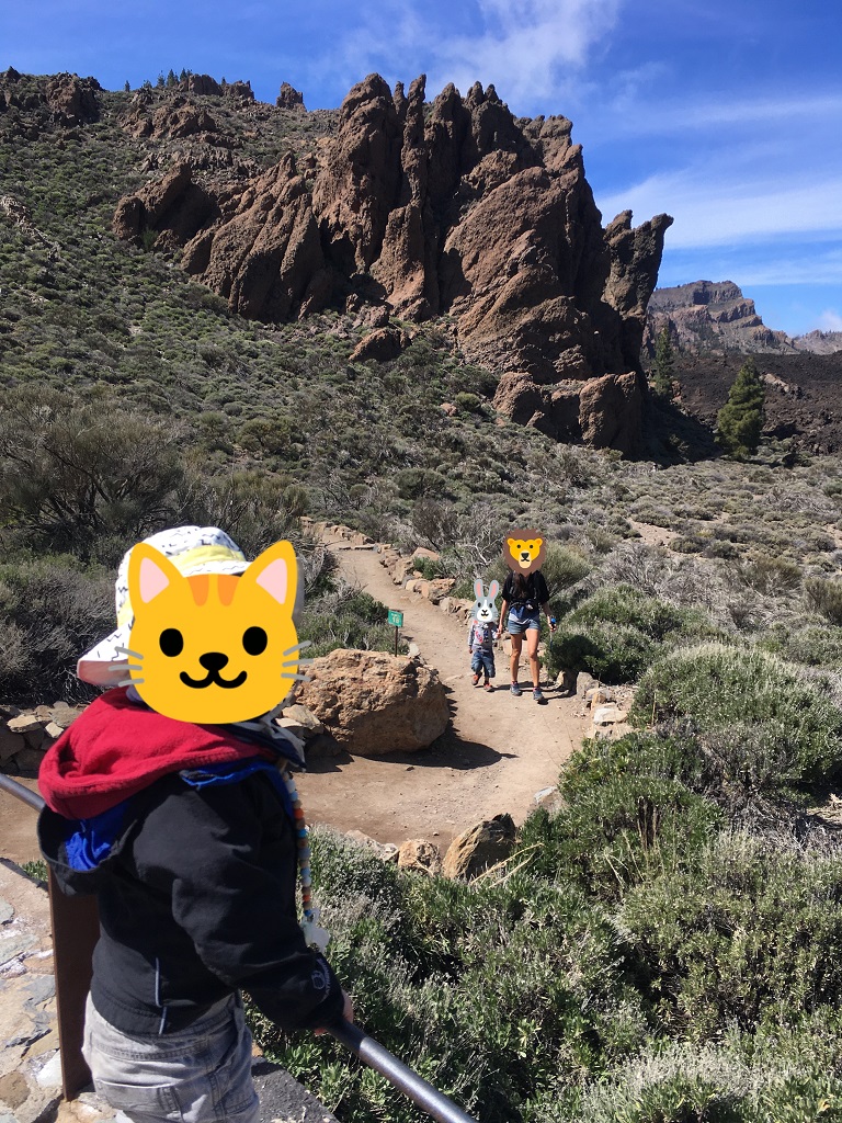 tenerife_boca_tauce_3