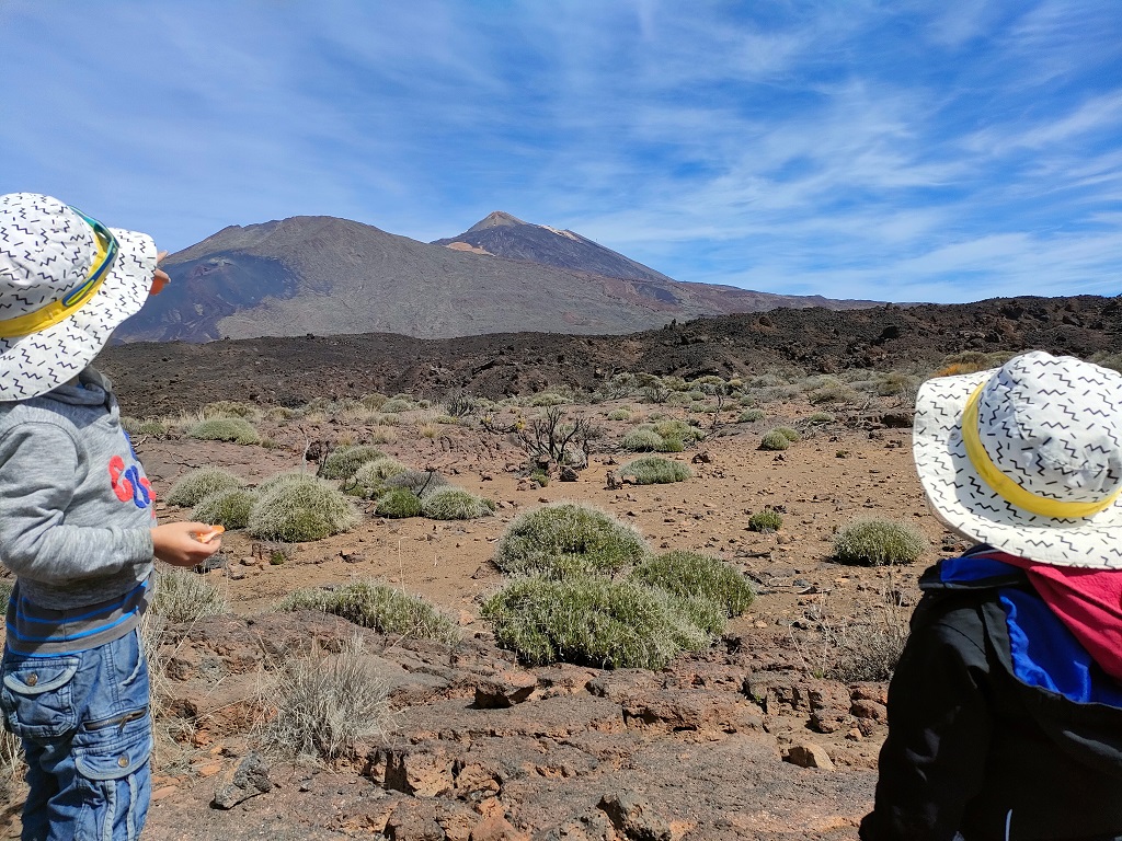 tenerife_boca_tauce_4