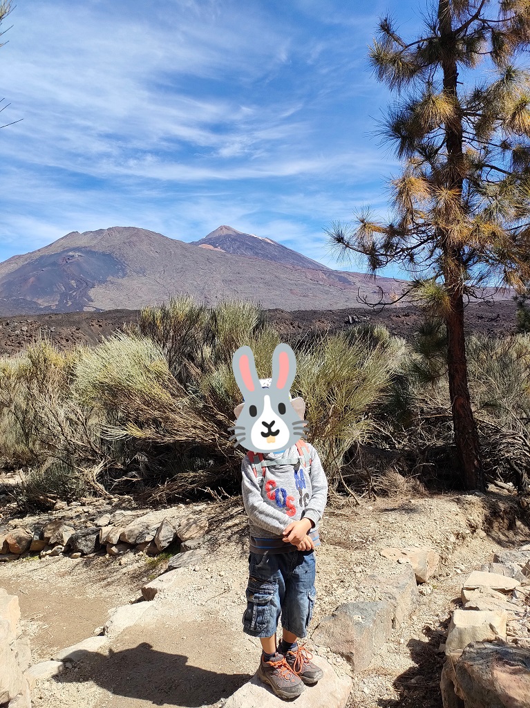 tenerife_boca_tauce_5