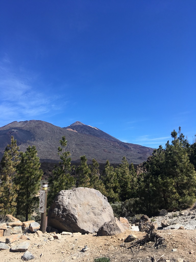 tenerife_boca_tauce_9