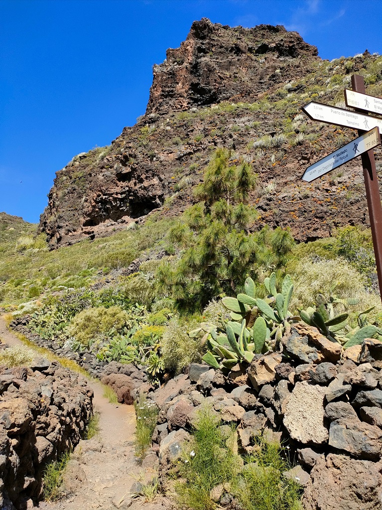 tenerife_molledo_10