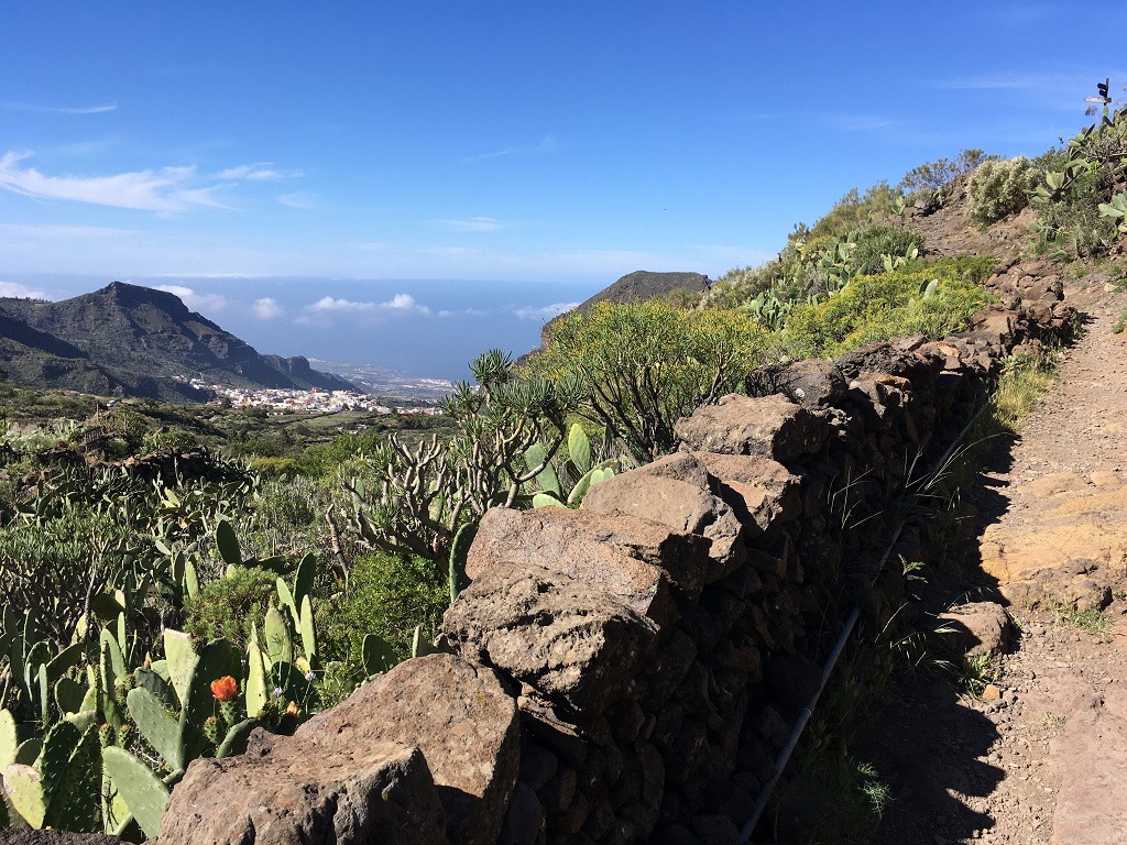 tenerife_molledo_3