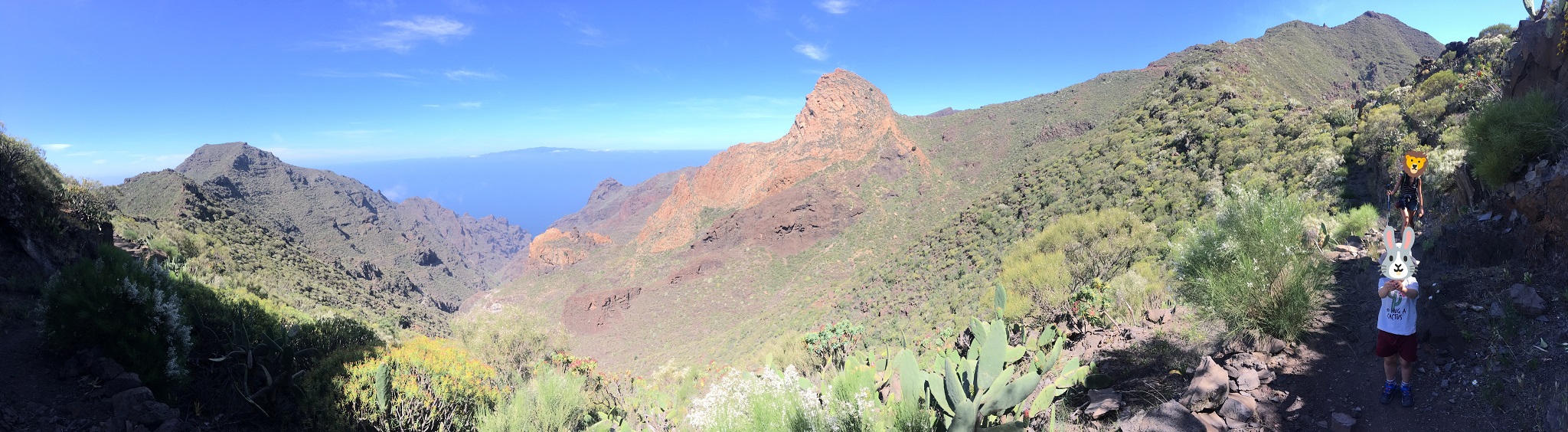 tenerife_molledo_8