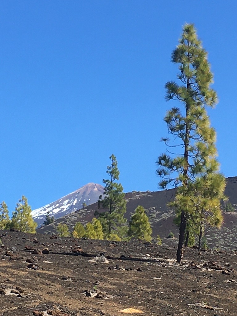 tenerife_samara_1