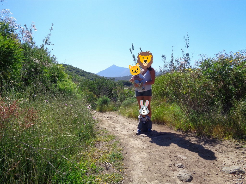 tenerife_tomaseche_2