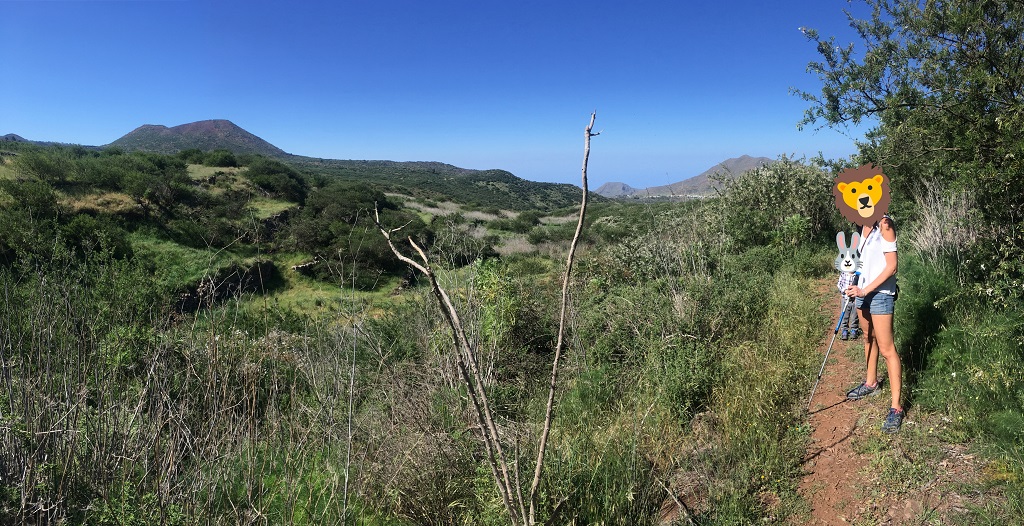 tenerife_tomaseche_3