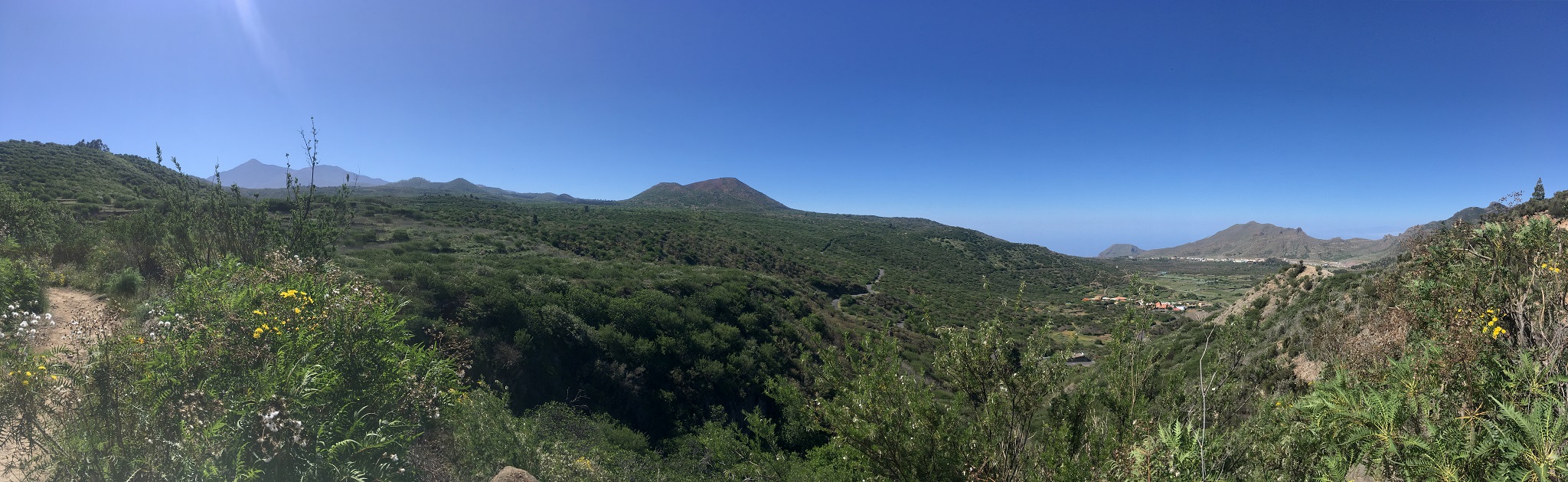 tenerife_tomaseche_5