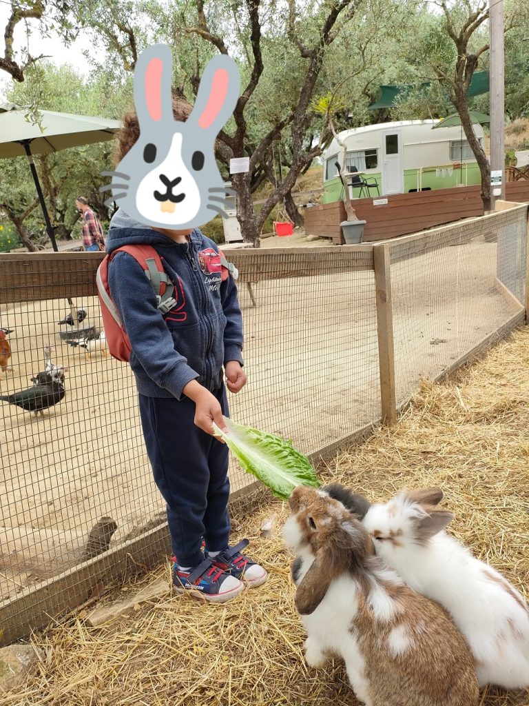 zakynthos_zakynthos_farm_lapins