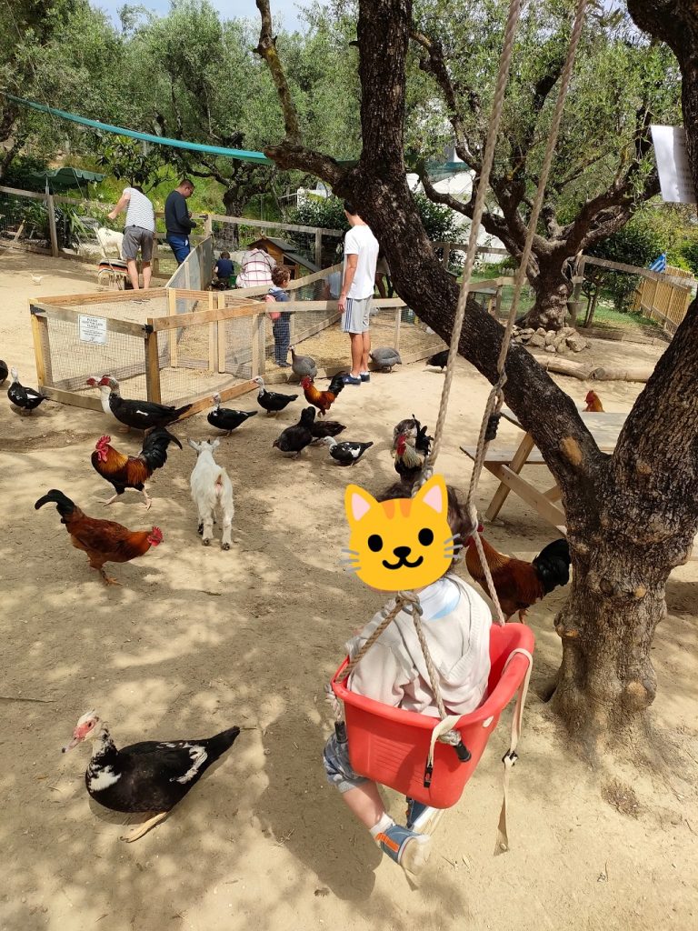 zakynthos_zakynthos_farm_poules