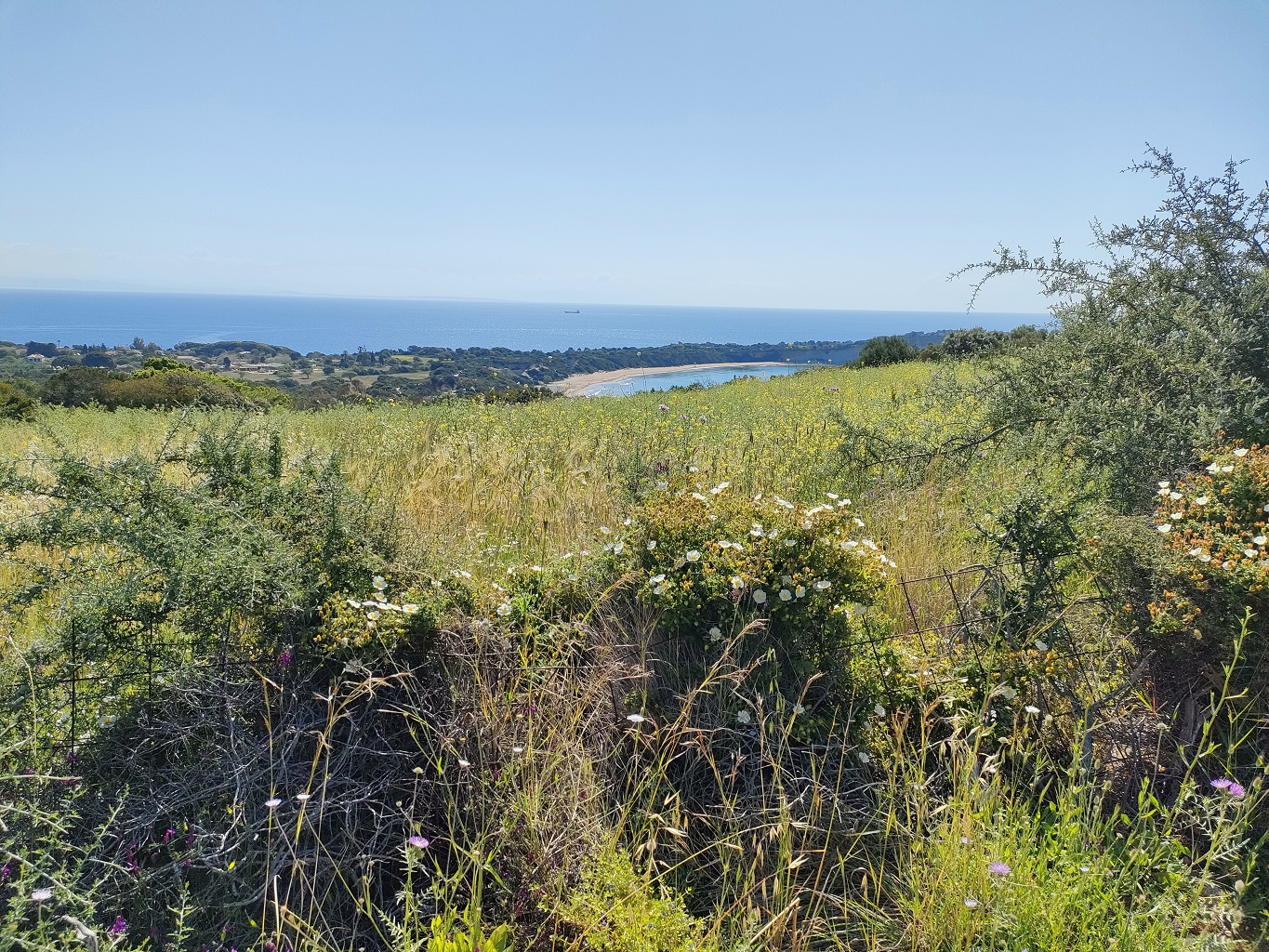 zakynthos_zakynthos_whitetrail_3